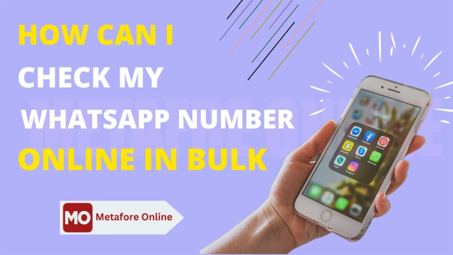 How can I check my WhatsApp number online in bulk?